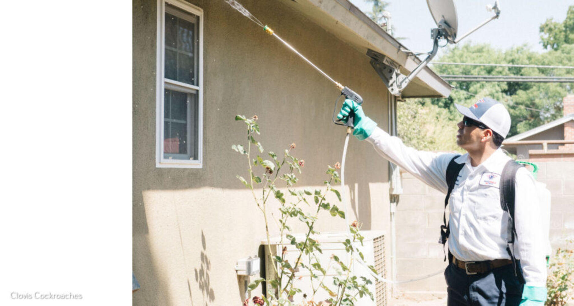 Standard post published to EagleShield Pest Control of Fresno at August